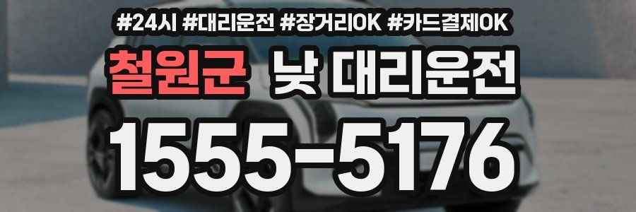 철원군 낮 대리운전