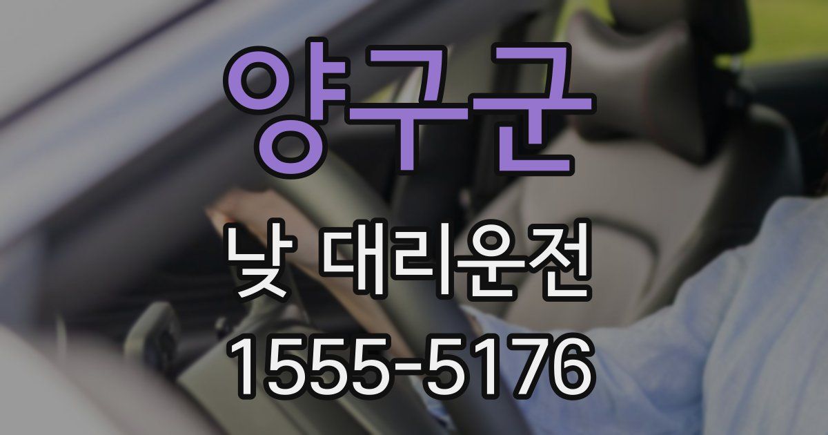 양구군 낮 대리운전