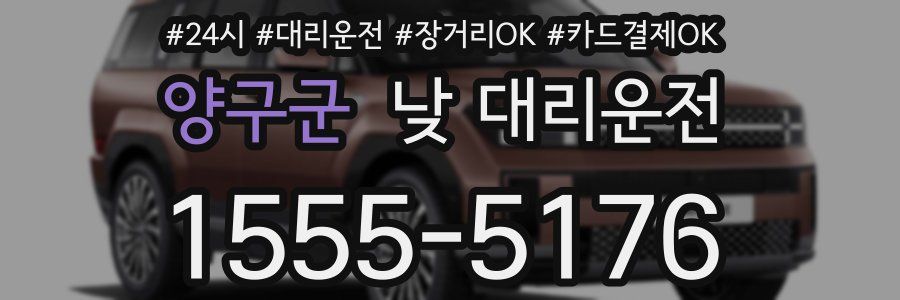 양구군 낮 대리운전