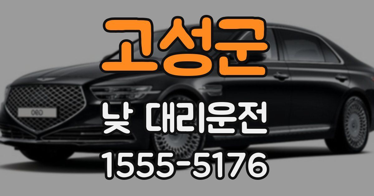고성군 낮 대리운전