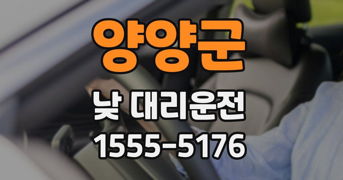 양양군 낮 대리운전