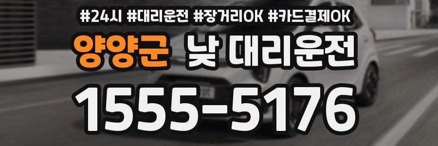 양양군 낮 대리운전