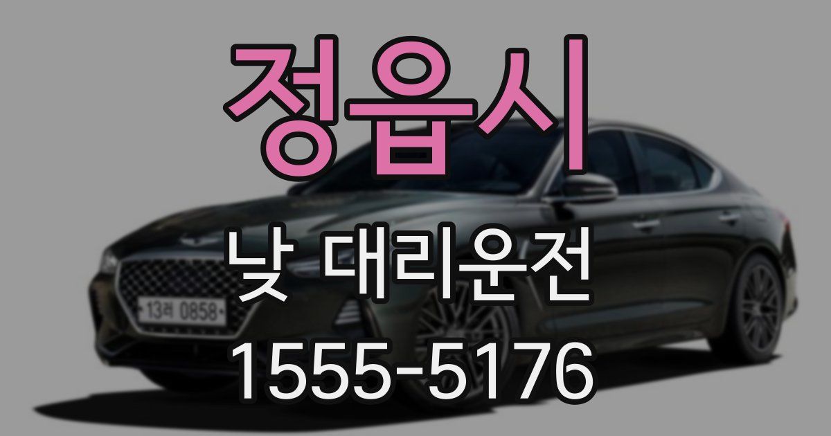 정읍시 낮 대리운전