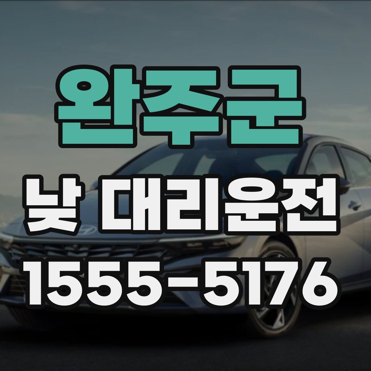완주군 낮 대리운전
