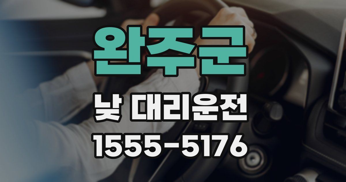 완주군 낮 대리운전