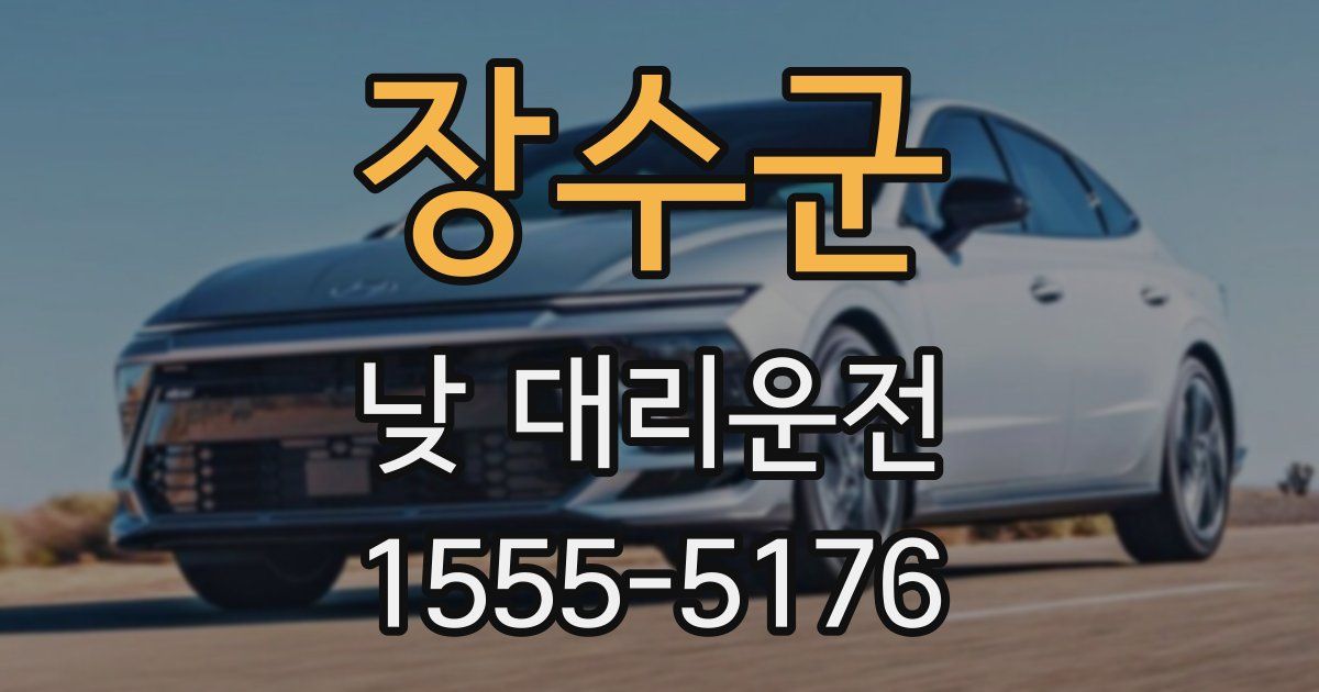 장수군 낮 대리운전
