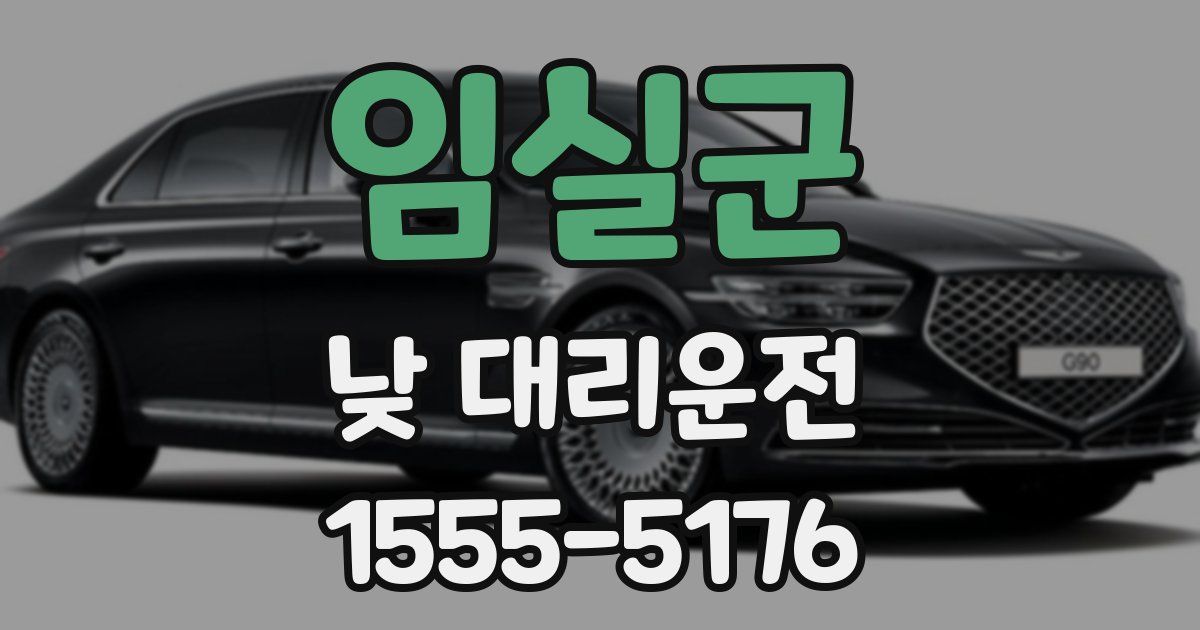 임실군 낮 대리운전