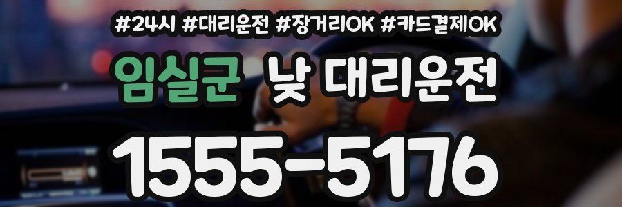 임실군 낮 대리운전