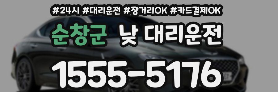순창군 낮 대리운전
