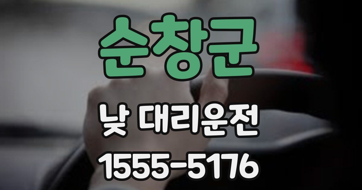 순창군 낮 대리운전