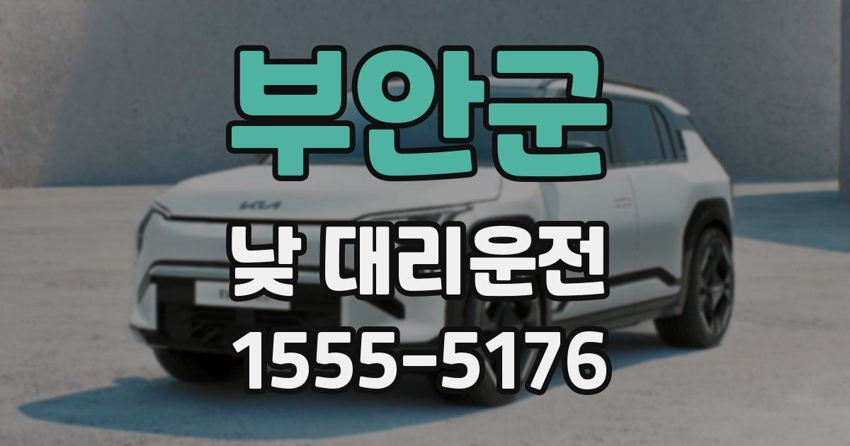 부안군 낮 대리운전
