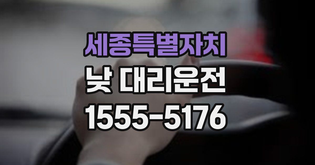 세종특별자치 낮 대리운전