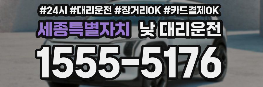 세종특별자치 낮 대리운전