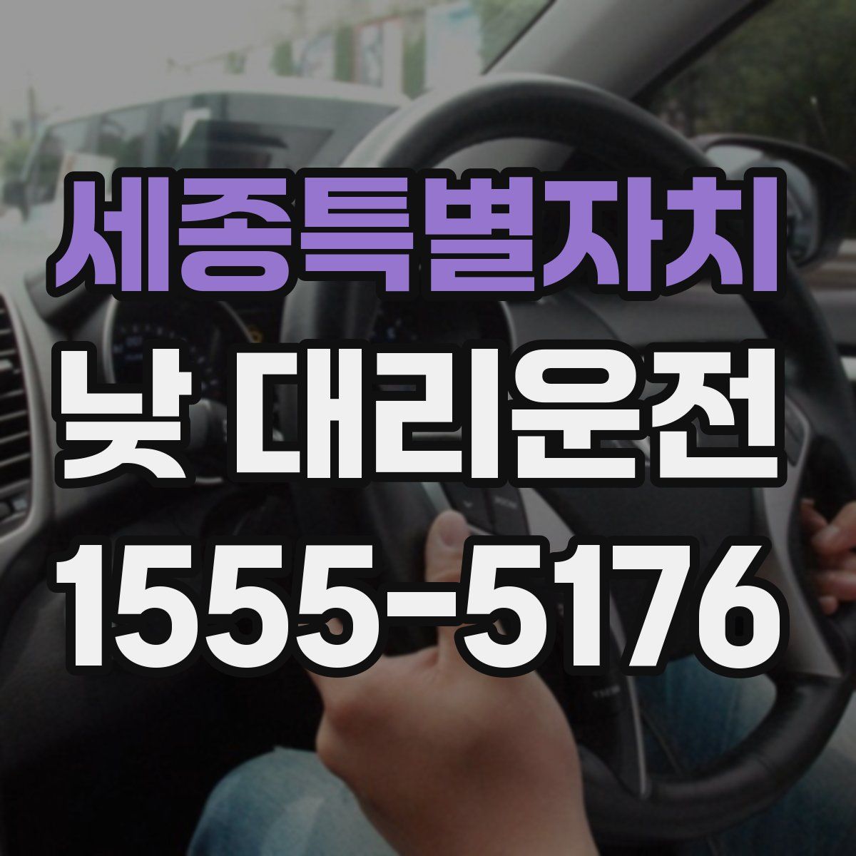 세종특별자치 낮 대리운전
