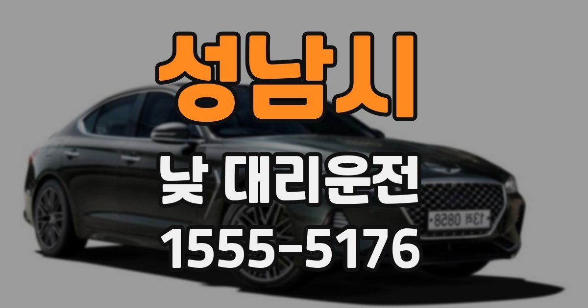 성남시 낮 대리운전