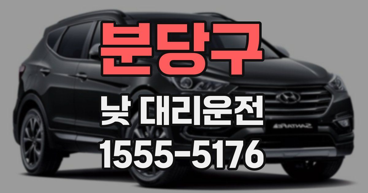 분당구 낮 대리운전