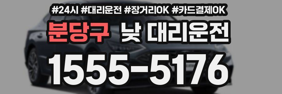 분당구 낮 대리운전