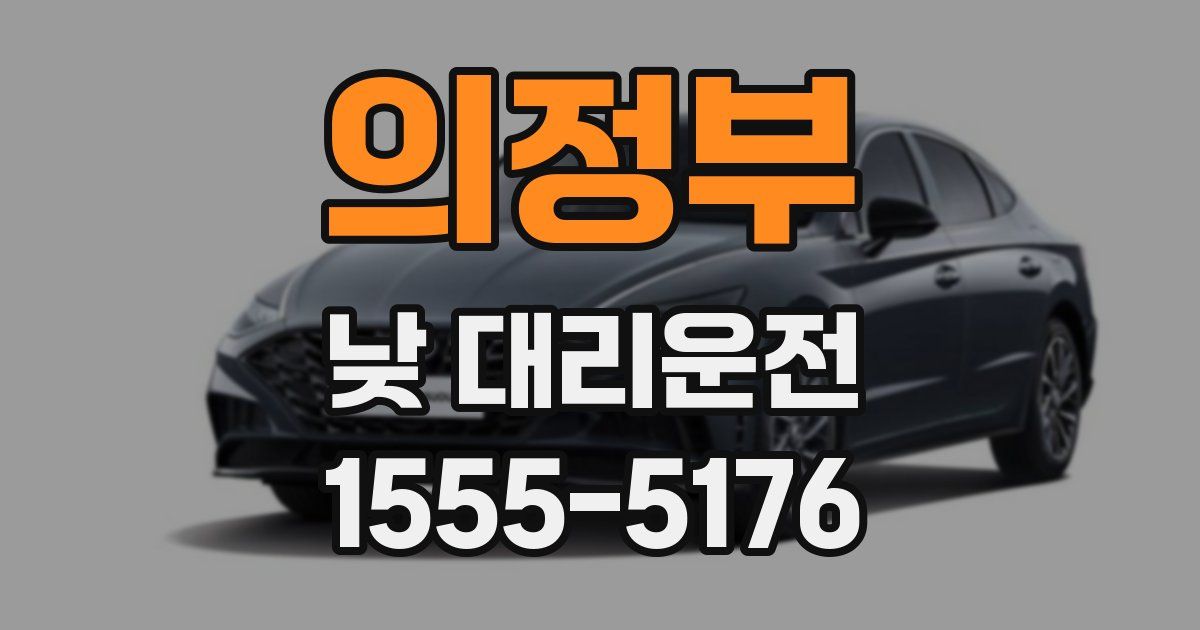 의정부 낮 대리운전