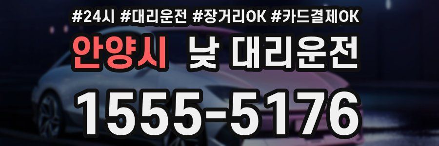 안양시 낮 대리운전