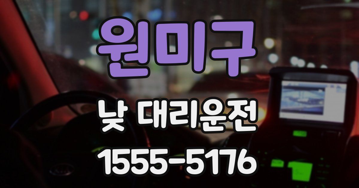 원미구 낮 대리운전