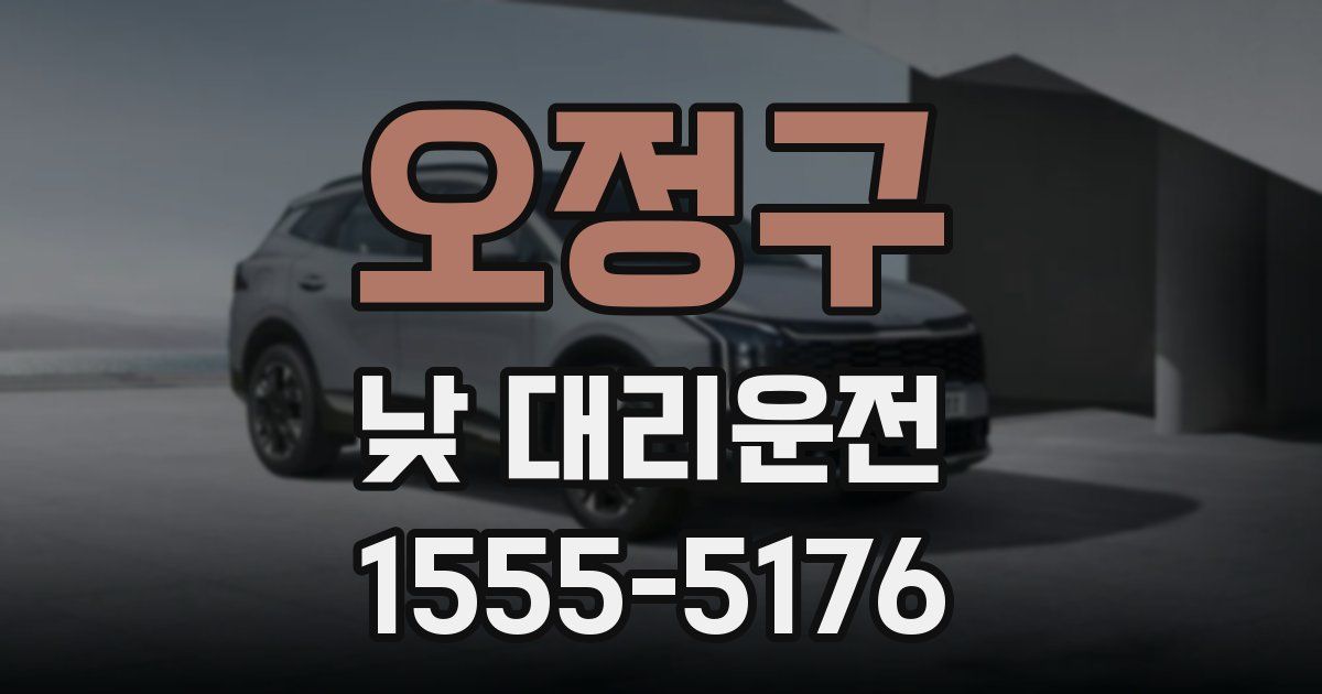 오정구 낮 대리운전