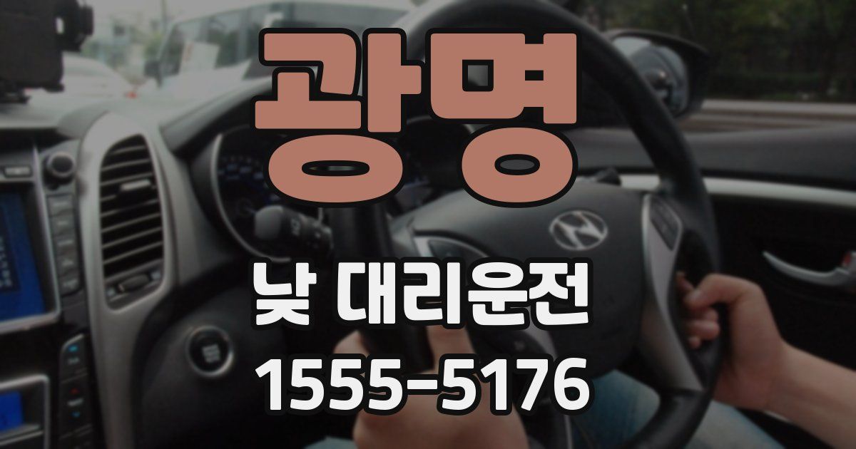 광명 낮 대리운전