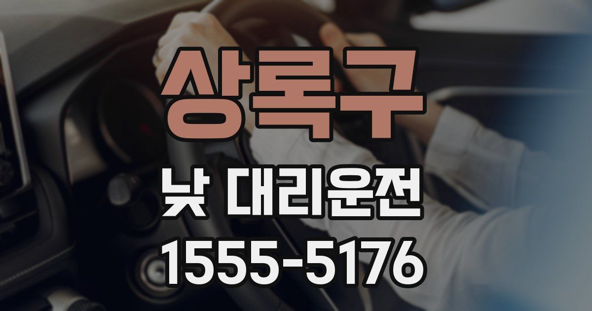 상록구 낮 대리운전