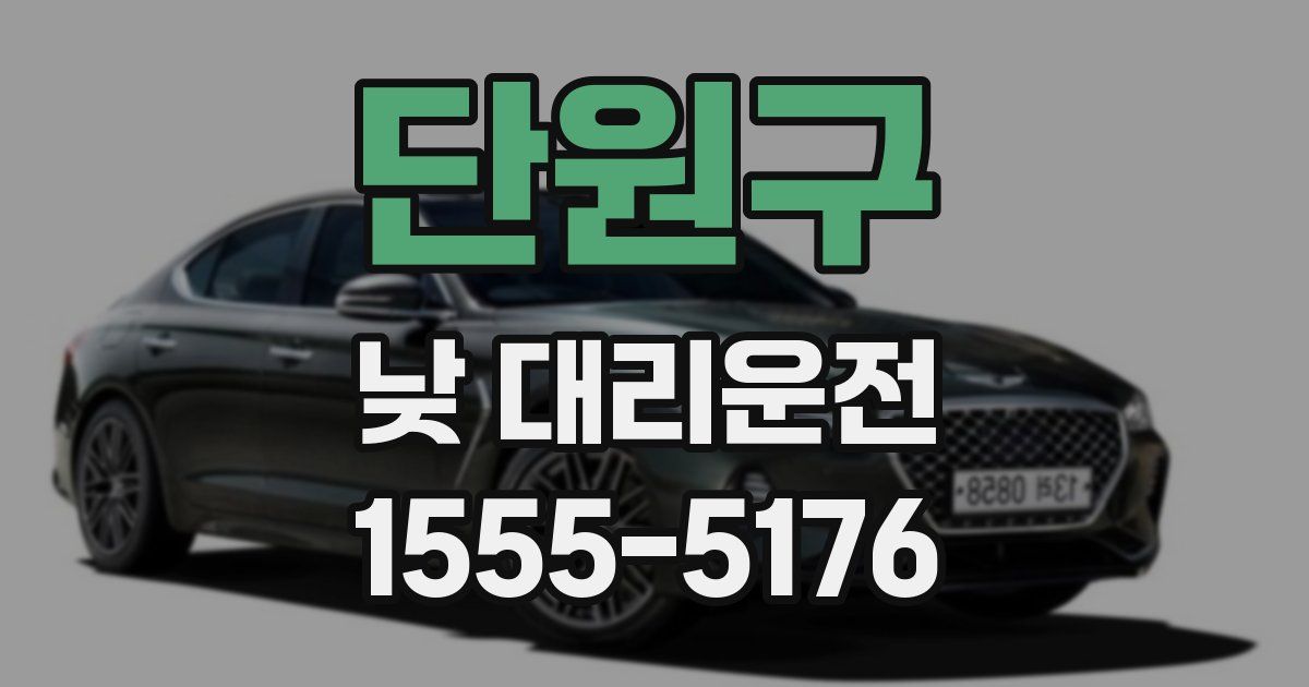 단원구 낮 대리운전