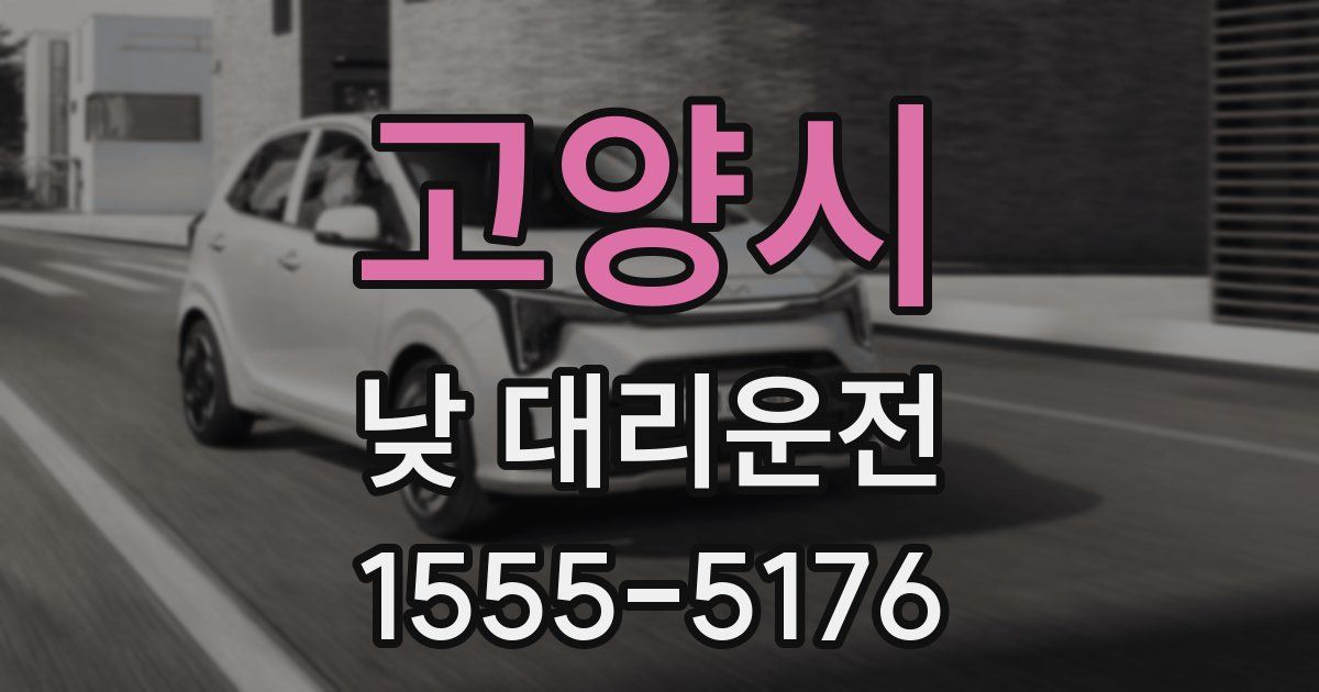 고양시 낮 대리운전