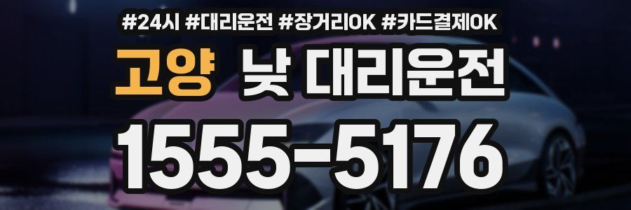 고양 낮 대리운전