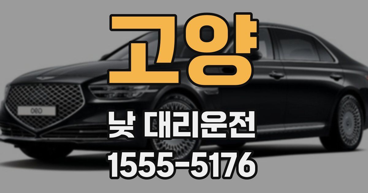 고양 낮 대리운전