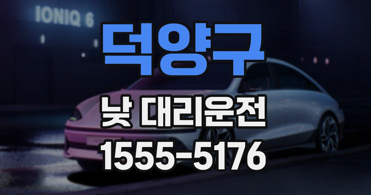 덕양구 낮 대리운전