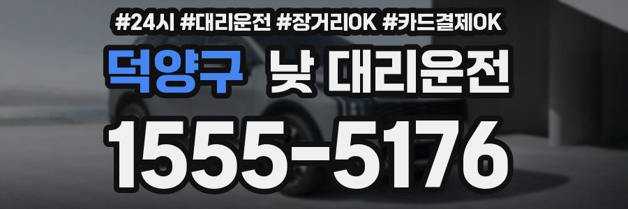 덕양구 낮 대리운전