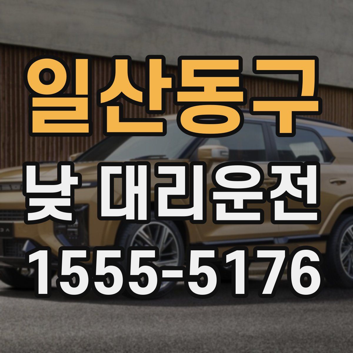 일산동구 낮 대리운전