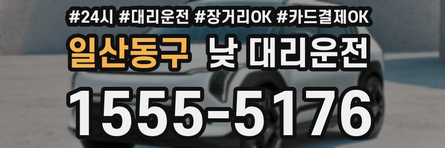 일산동구 낮 대리운전