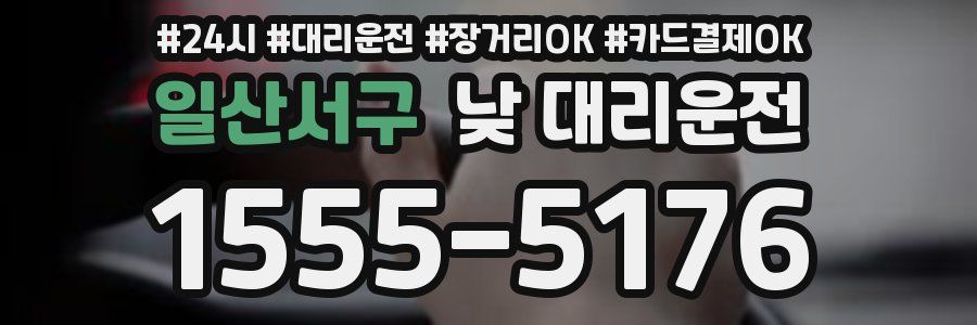 일산서구 낮 대리운전