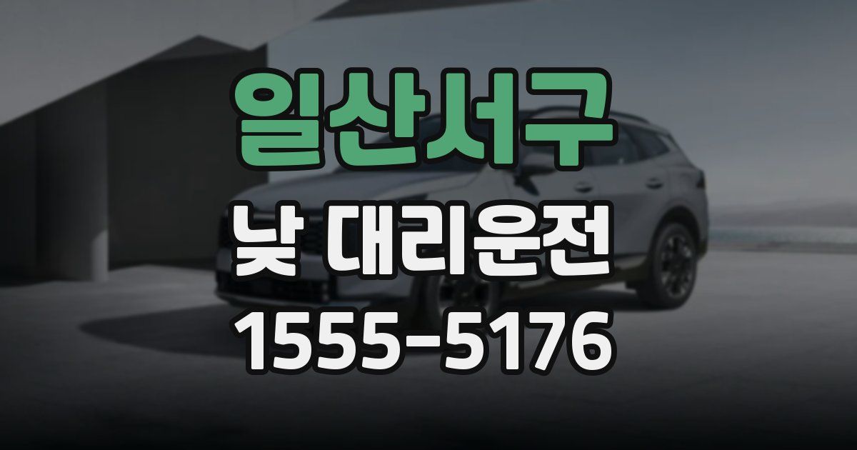 일산서구 낮 대리운전