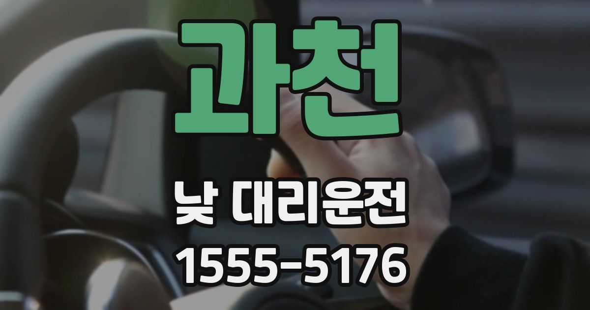 과천 낮 대리운전