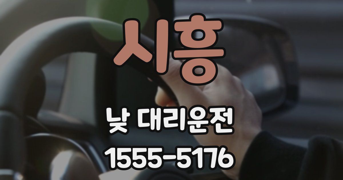 시흥 낮 대리운전