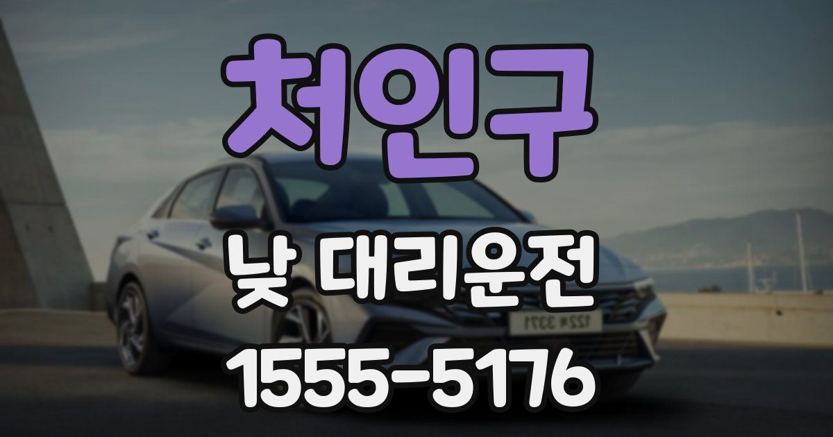 처인구 낮 대리운전
