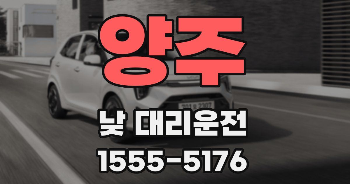 양주 낮 대리운전