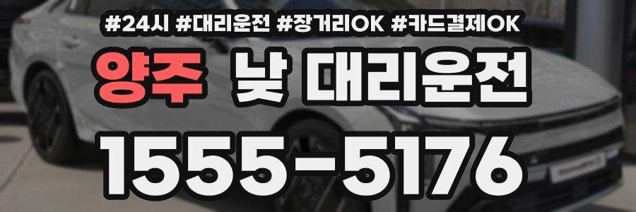 양주 낮 대리운전
