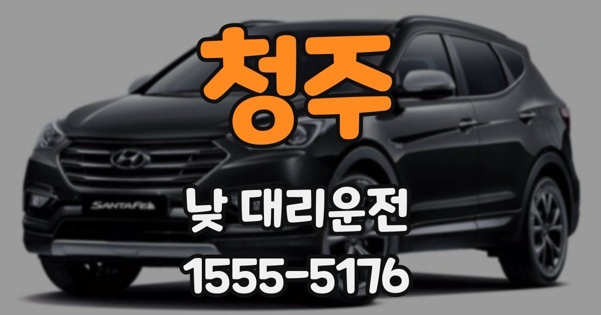 청주 낮 대리운전