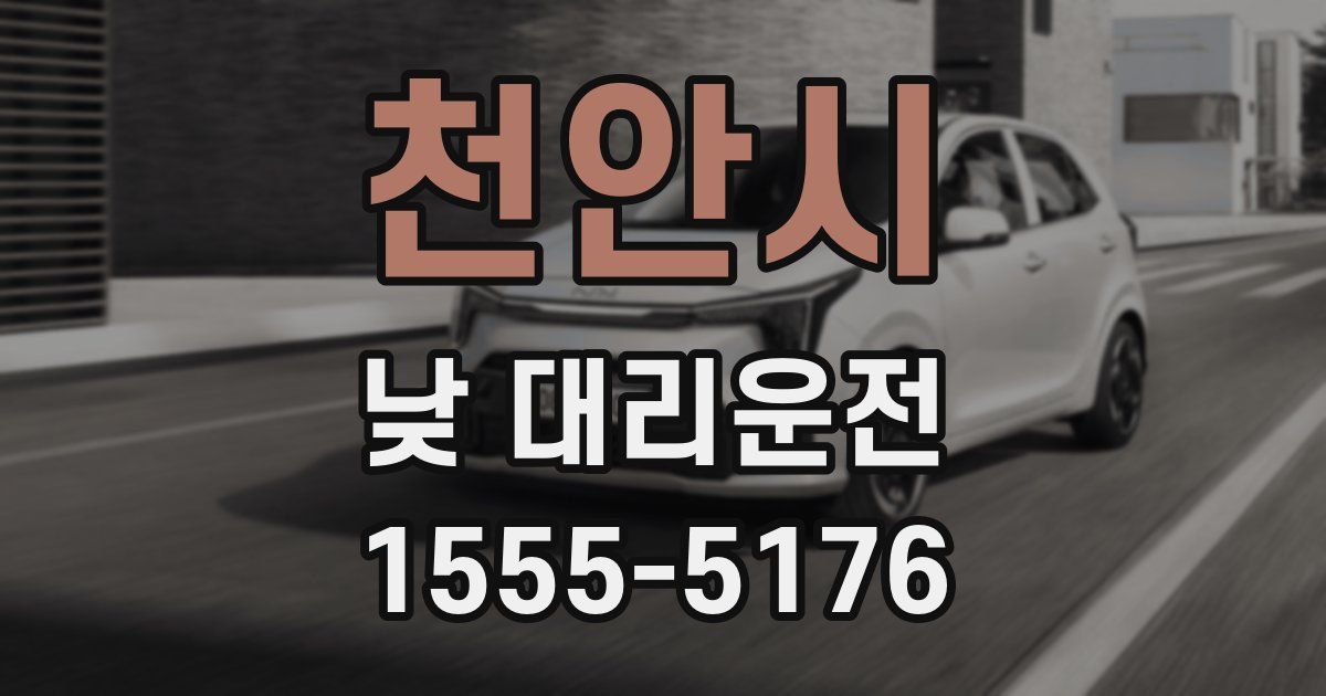 천안시 낮 대리운전