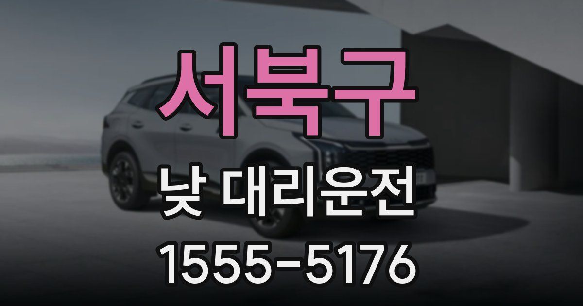 서북구 낮 대리운전