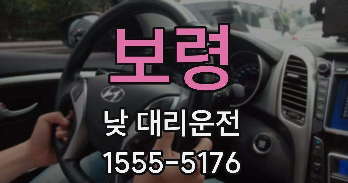 보령 낮 대리운전