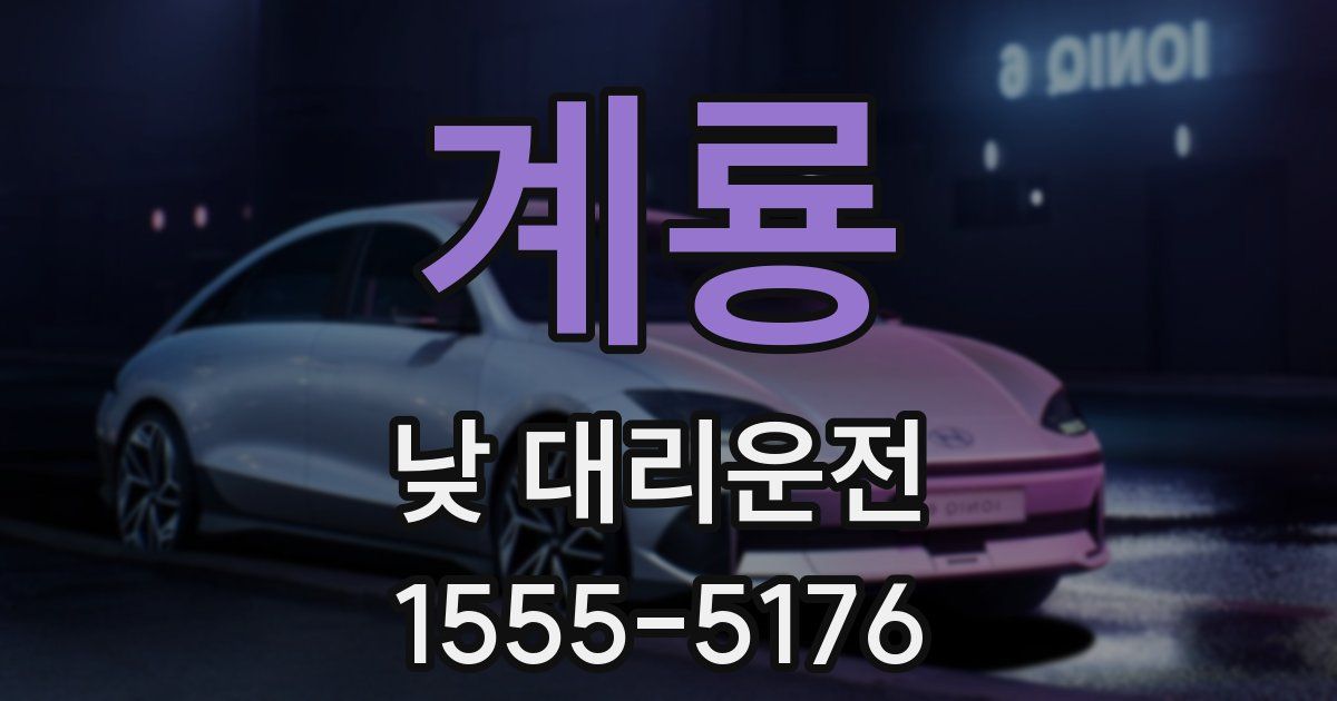계룡 낮 대리운전