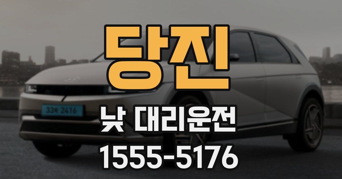 당진 낮 대리운전