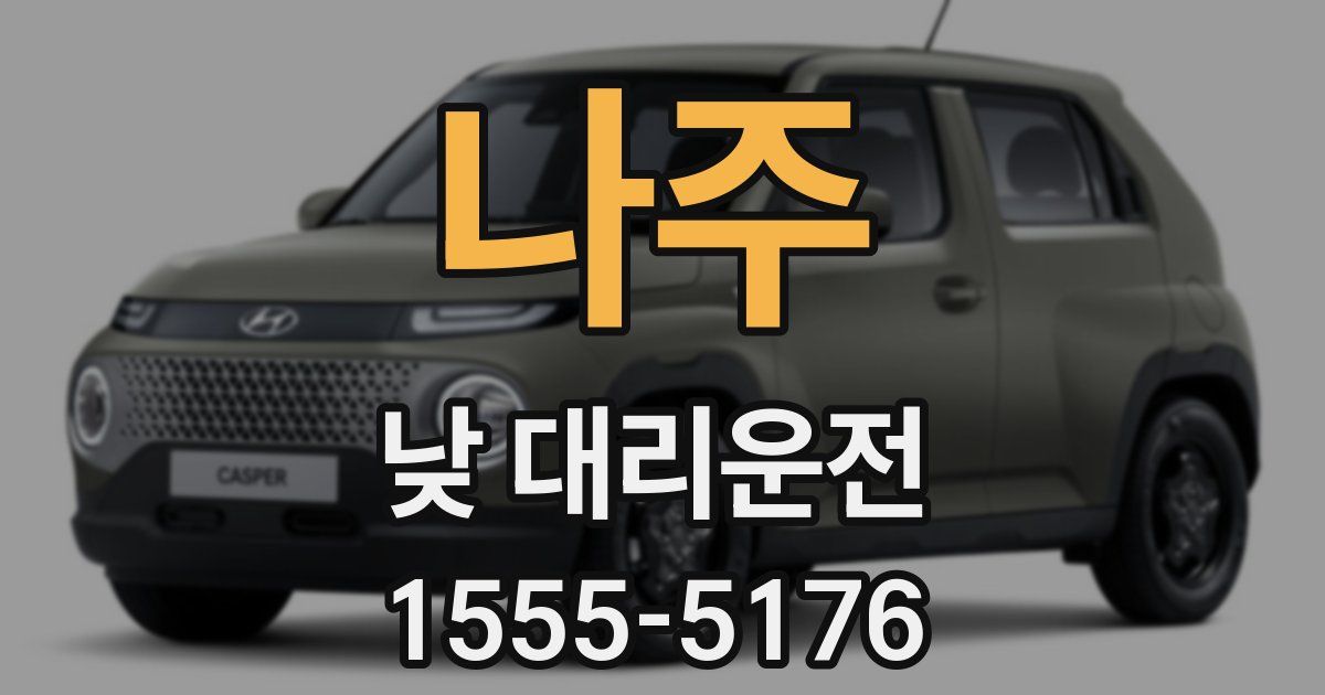 나주 낮 대리운전