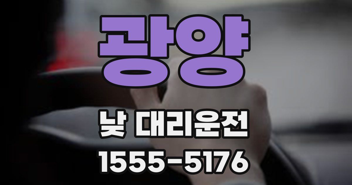 광양 낮 대리운전